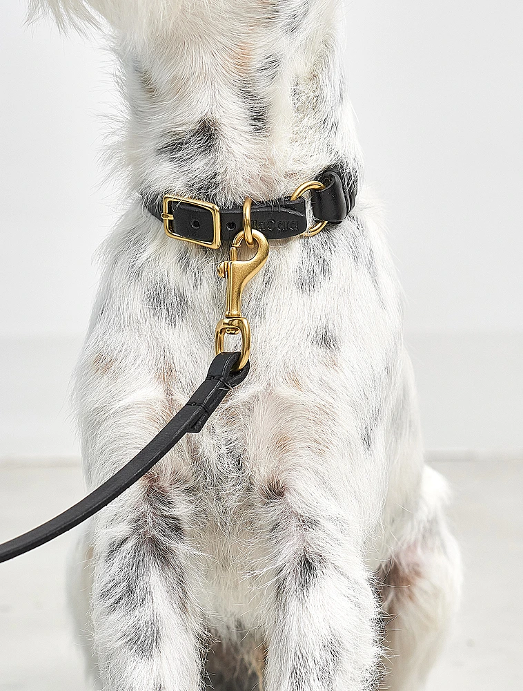 Ошейник для собак Palermo, 35-41 см от MiaCara