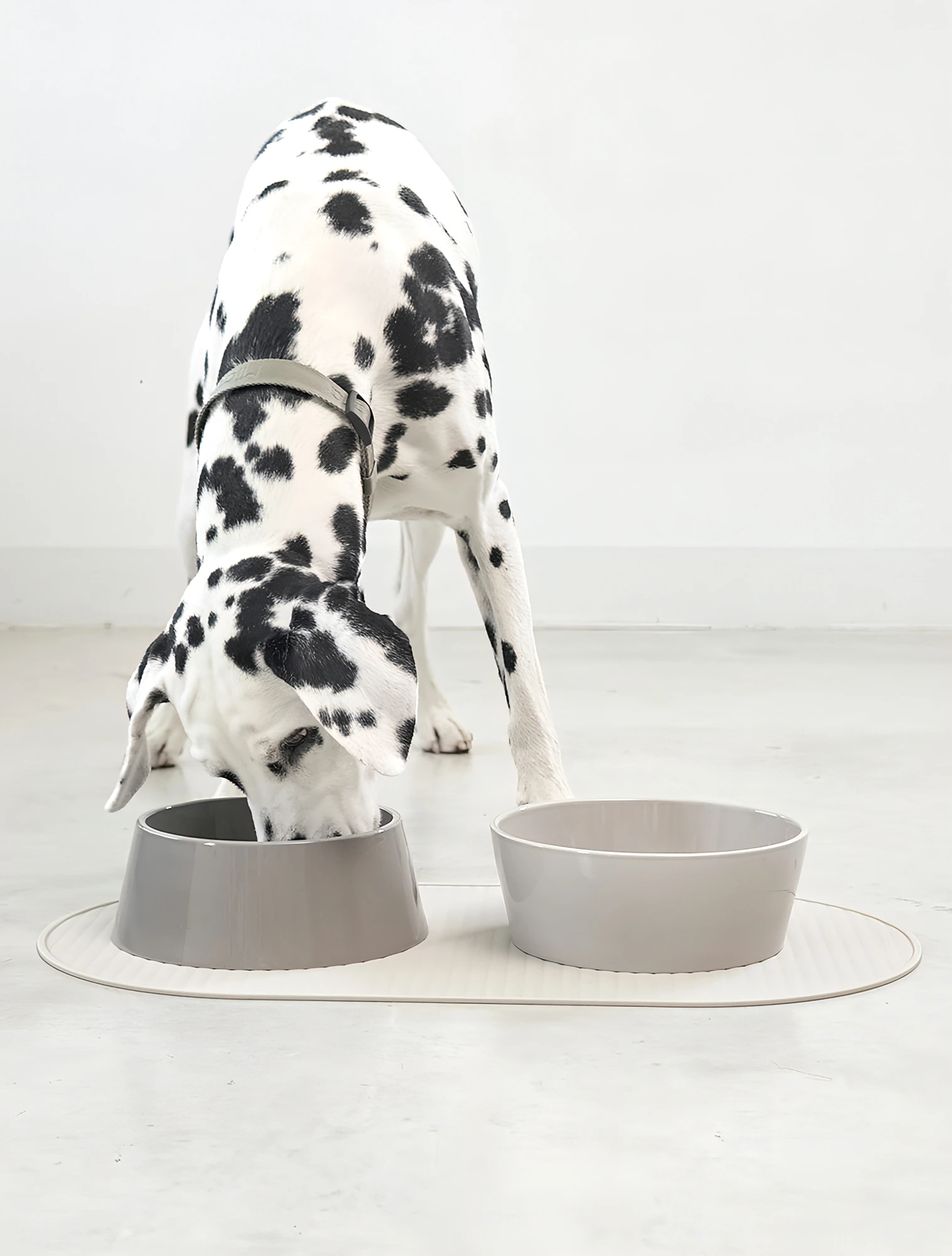 Коврик под миски для собак Pasto, 61х34 см