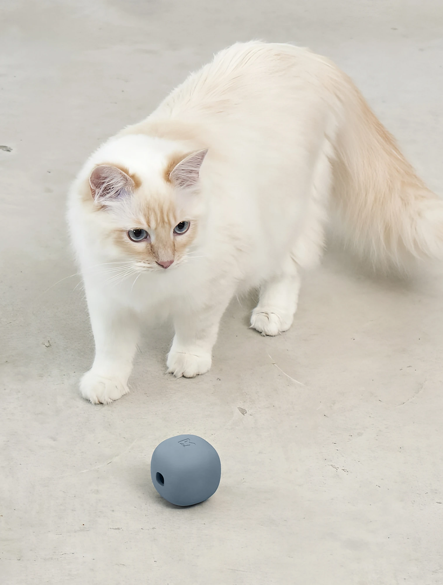 Развивающая игрушка для кошек Rotolo, 6x6 см