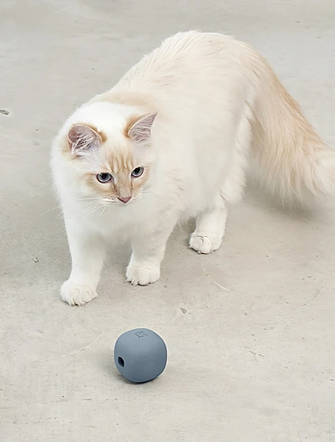 Развивающая игрушка для кошек Rotolo, 6x6 см