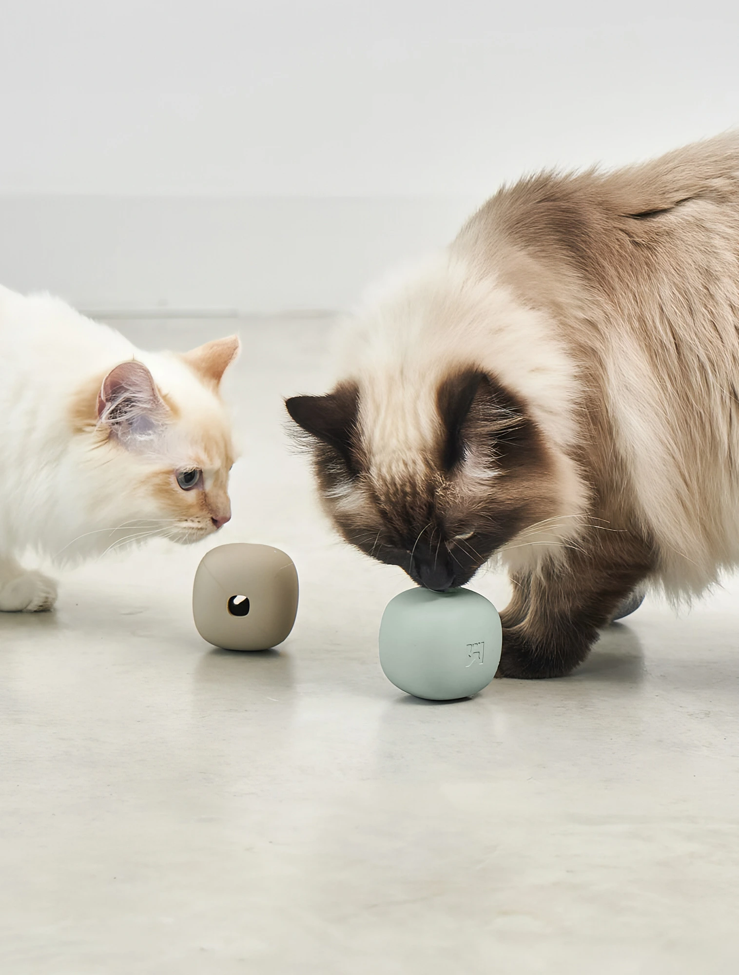 Развивающая игрушка для кошек Rotolo, 6x6 см