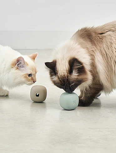 Развивающая игрушка для кошек Rotolo, 6x6 см