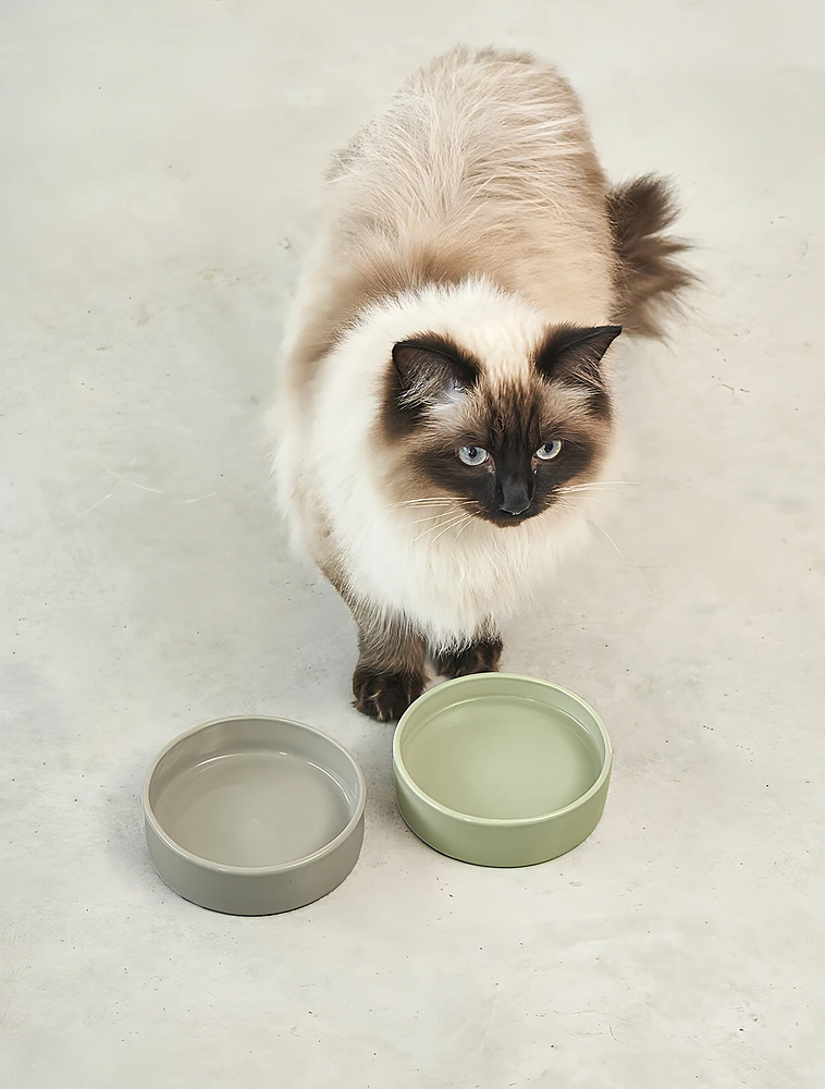 Миска для кошек Scodella, 250 мл от MiaCara