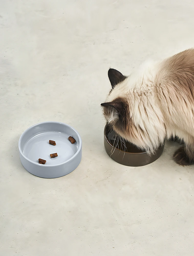 Миска для кошек Scodella, 250 мл от MiaCara