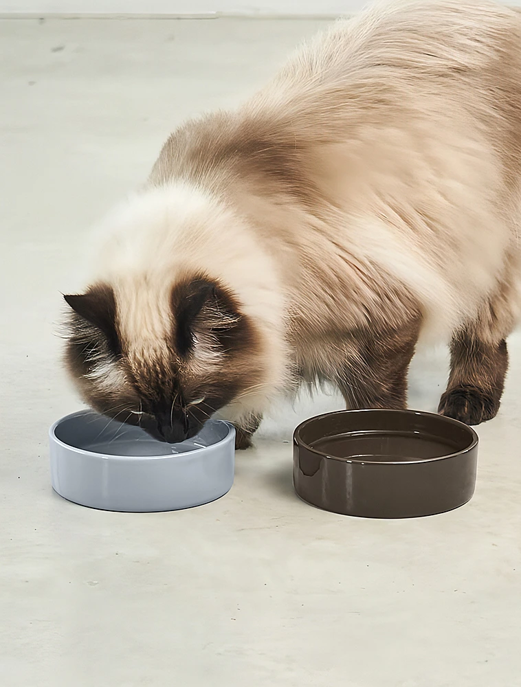 Миска для кошек Scodella, 250 мл от MiaCara