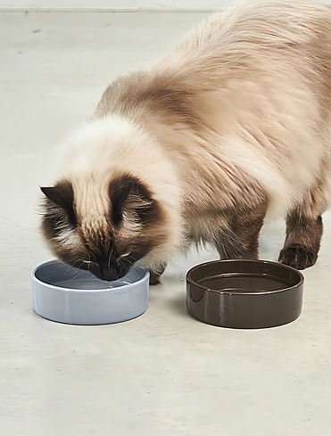 Миска для кошек Scodella, 250 мл