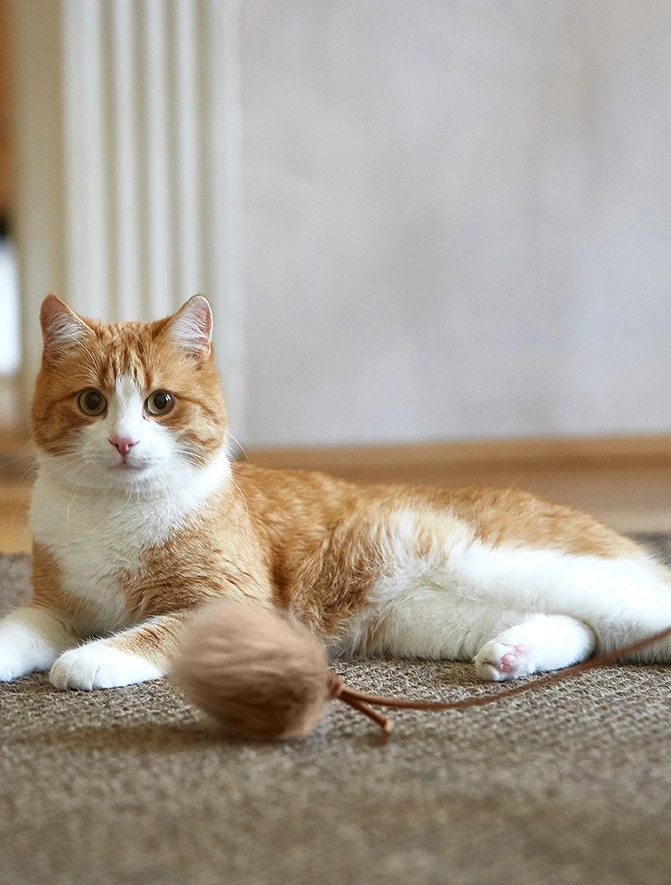 Игрушка-дразнилка для кошек Topo, 20 см