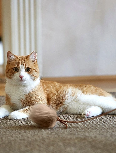 Игрушка-дразнилка для кошек Topo, 20 см