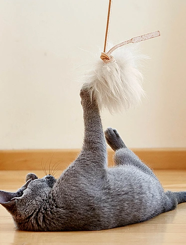 Игрушка-дразнилка для кошек Topo, 20 см