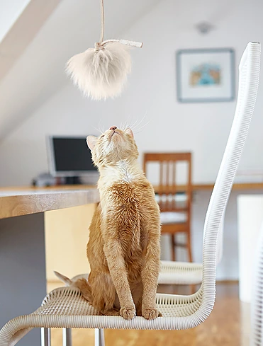 Игрушка-дразнилка для кошек Topo, 20 см