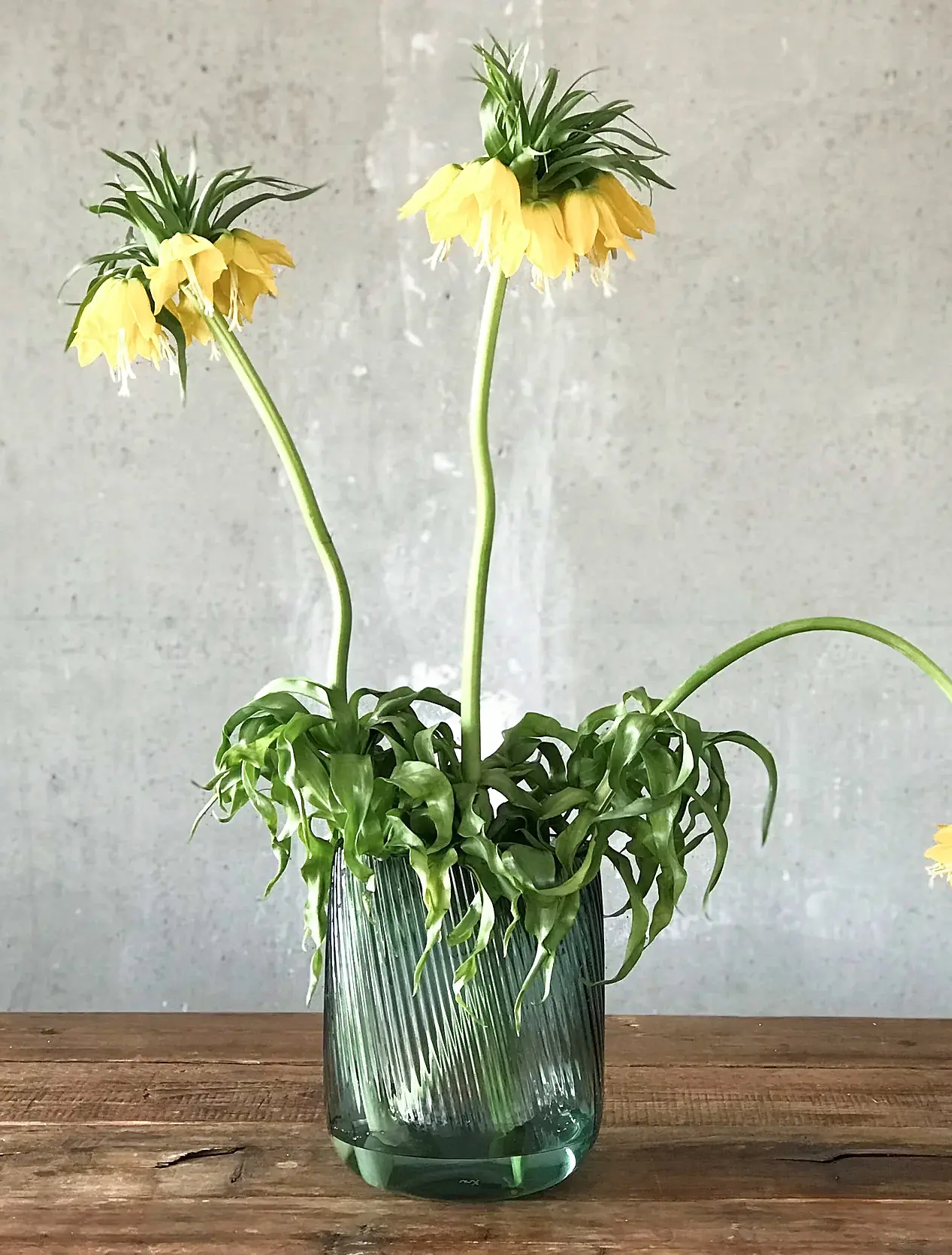 Ваза Opti, 24,5 см