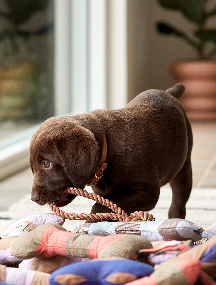 Игрушка для собак Otto, 7х22 см от OYOY Living Design