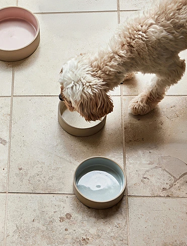 Миска для собак Sia