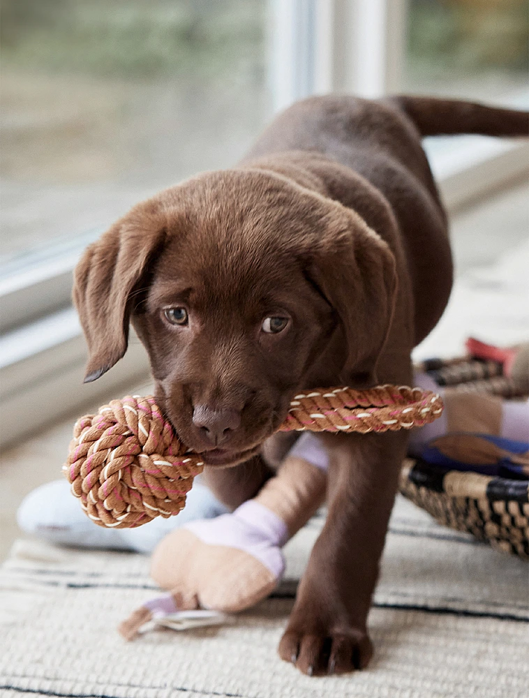 Игрушка для собак Otto, 7х22 см от OYOY Living Design