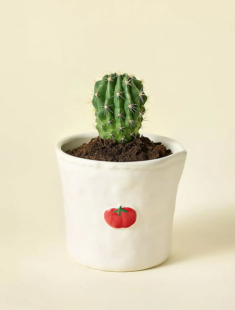 Ароматическая свеча Bistro Heirloom Tomato, 9 см от Paddywax