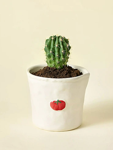 Ароматическая свеча Bistro Heirloom Tomato, 9 см