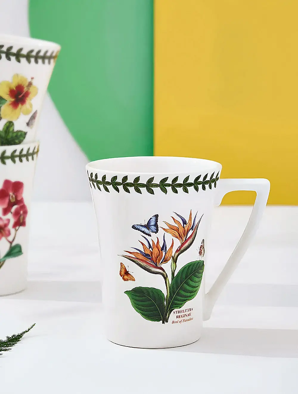 Кружка Botanic Garden Exotic, 300 мл