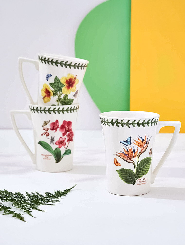 Набор из 6 кружек Botanic Garden Exotic, 300 мл от Portmeirion