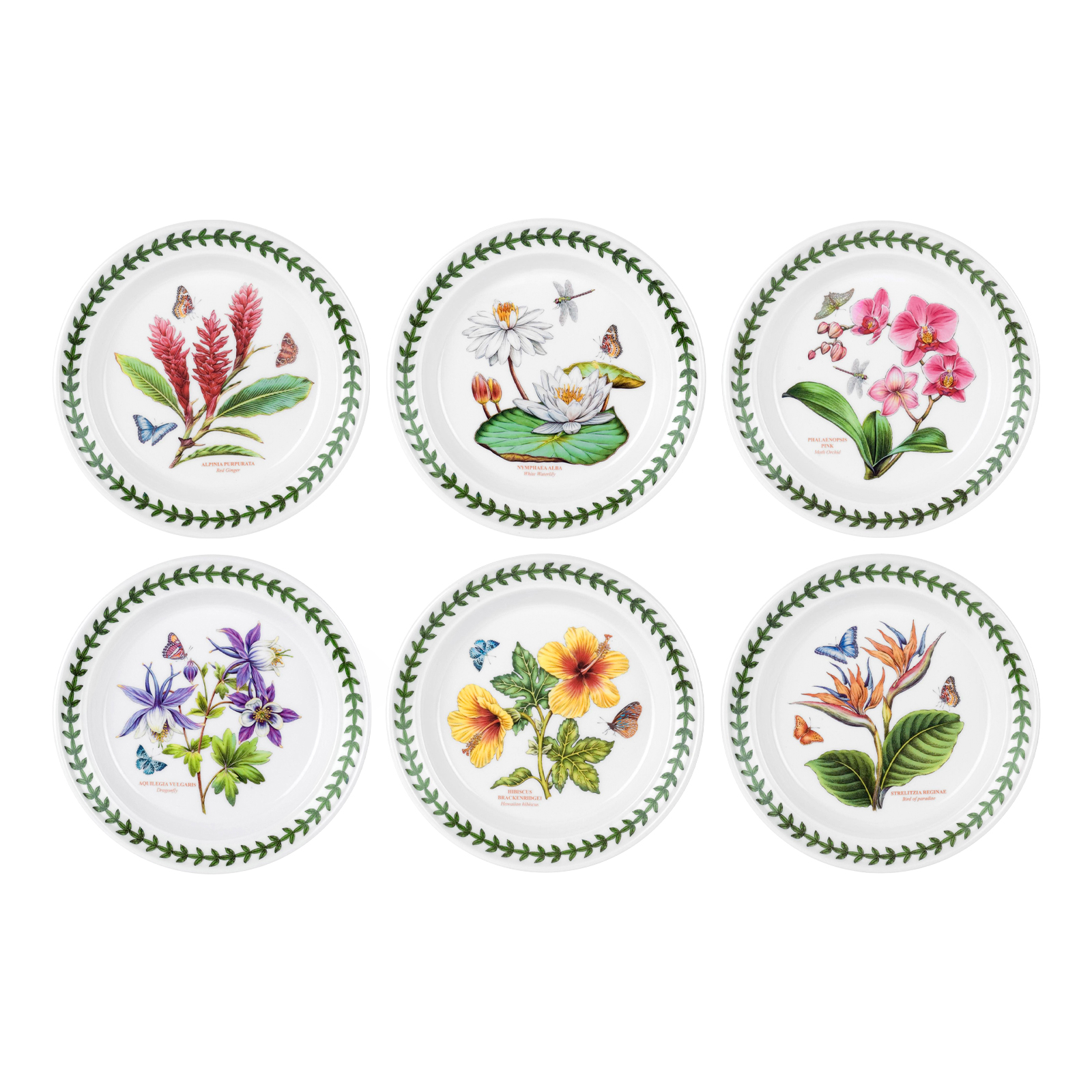Набор из 6 закусочных тарелок Botanic Garden Exotic, 21,5 см