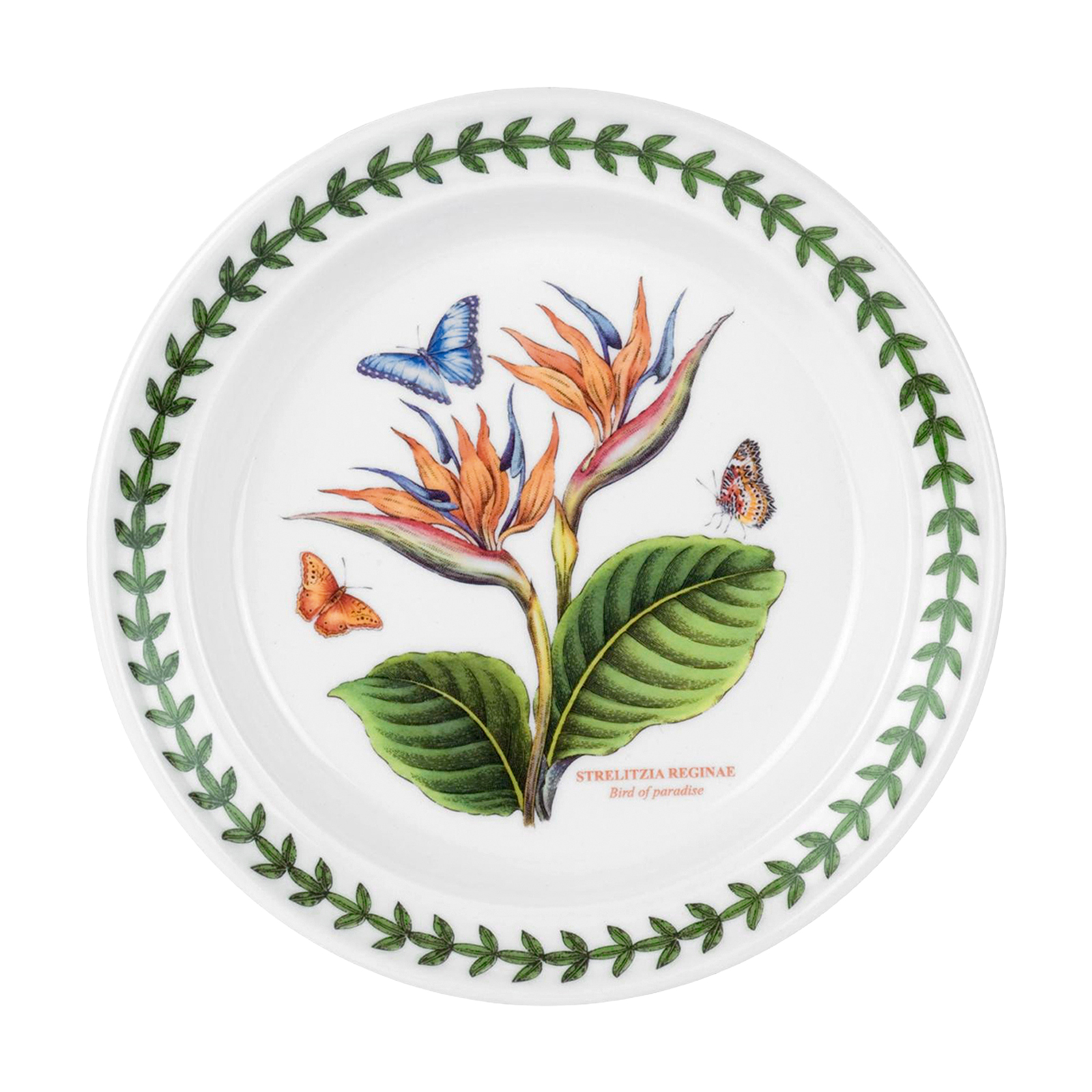 Набор из 6 закусочных тарелок Botanic Garden Exotic, 21,5 см