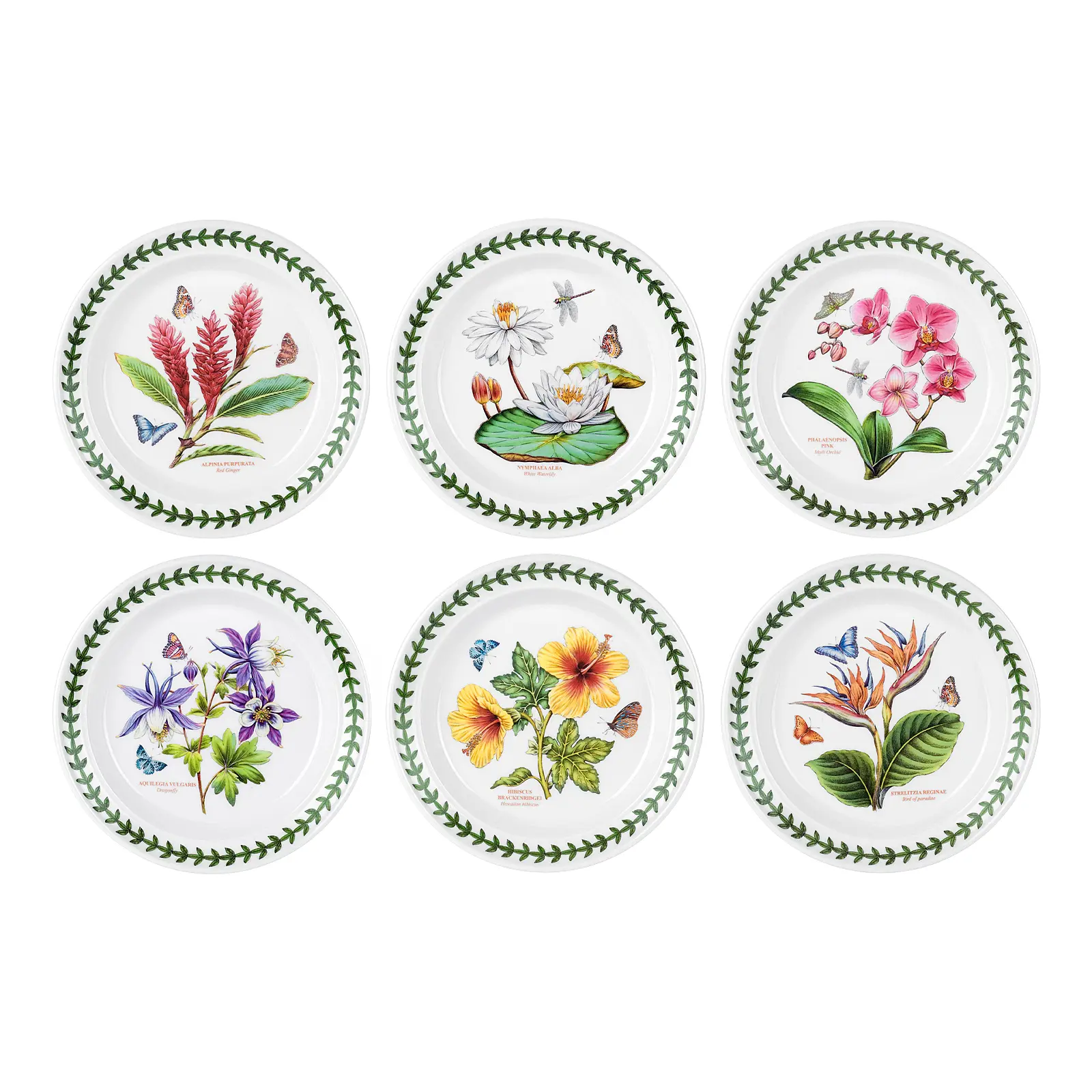 Набор из 6 обеденных тарелок Botanic Garden Exotic, 26,5 см