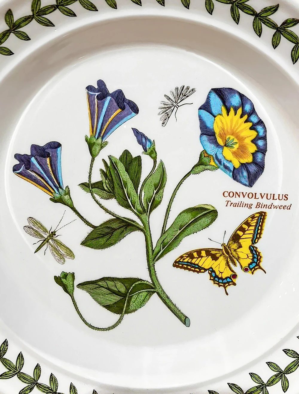 Пирожковая тарелка Botanic Garden, 16,5 см