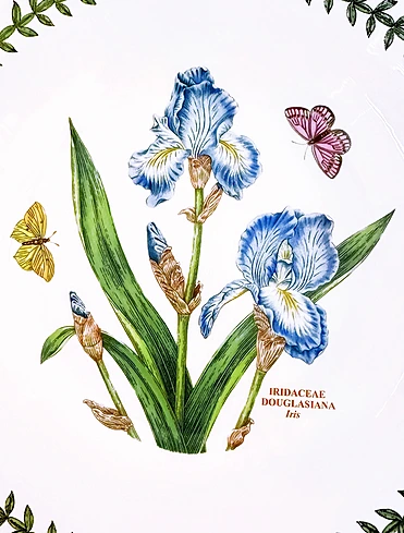 Суповая тарелка Botanic Garden, 22 см