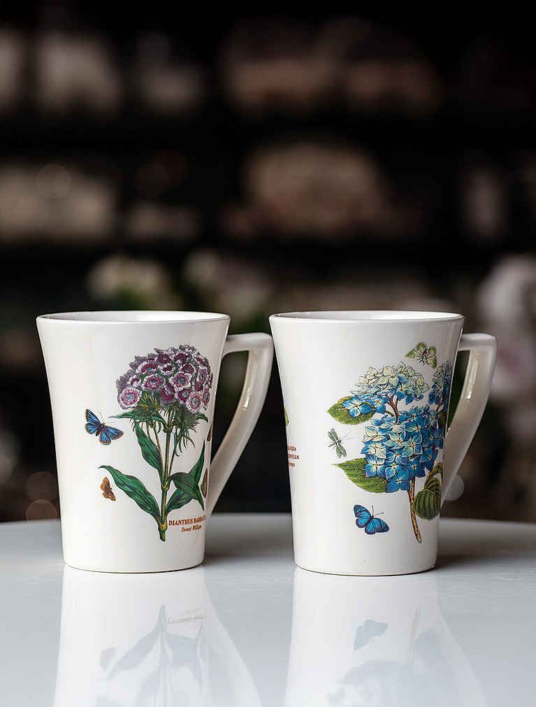 Набор из 2 кружек Botanic Garden, 300 мл от Portmeirion