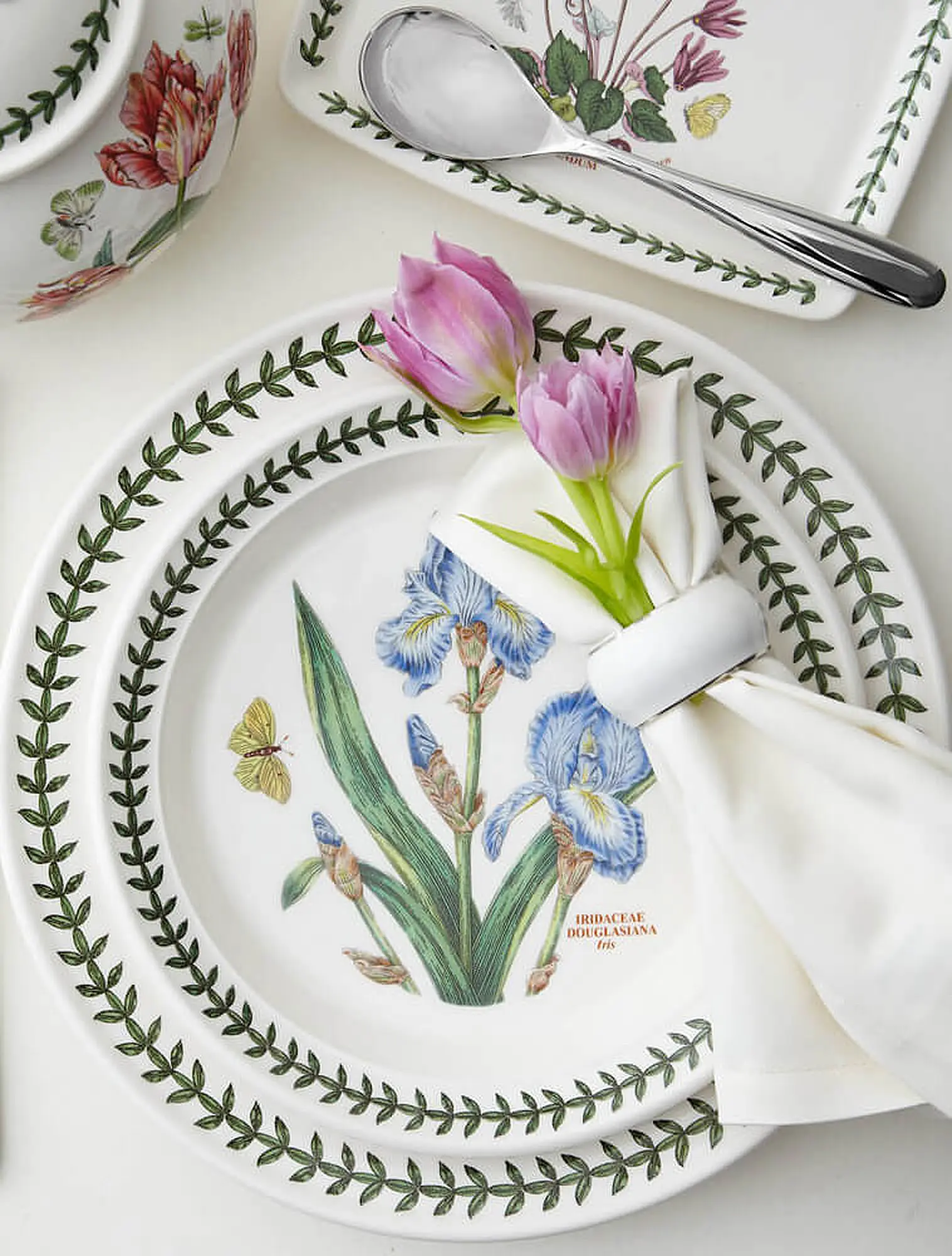 Набор из 6 закусочных тарелок Botanic Garden, 21,5 см