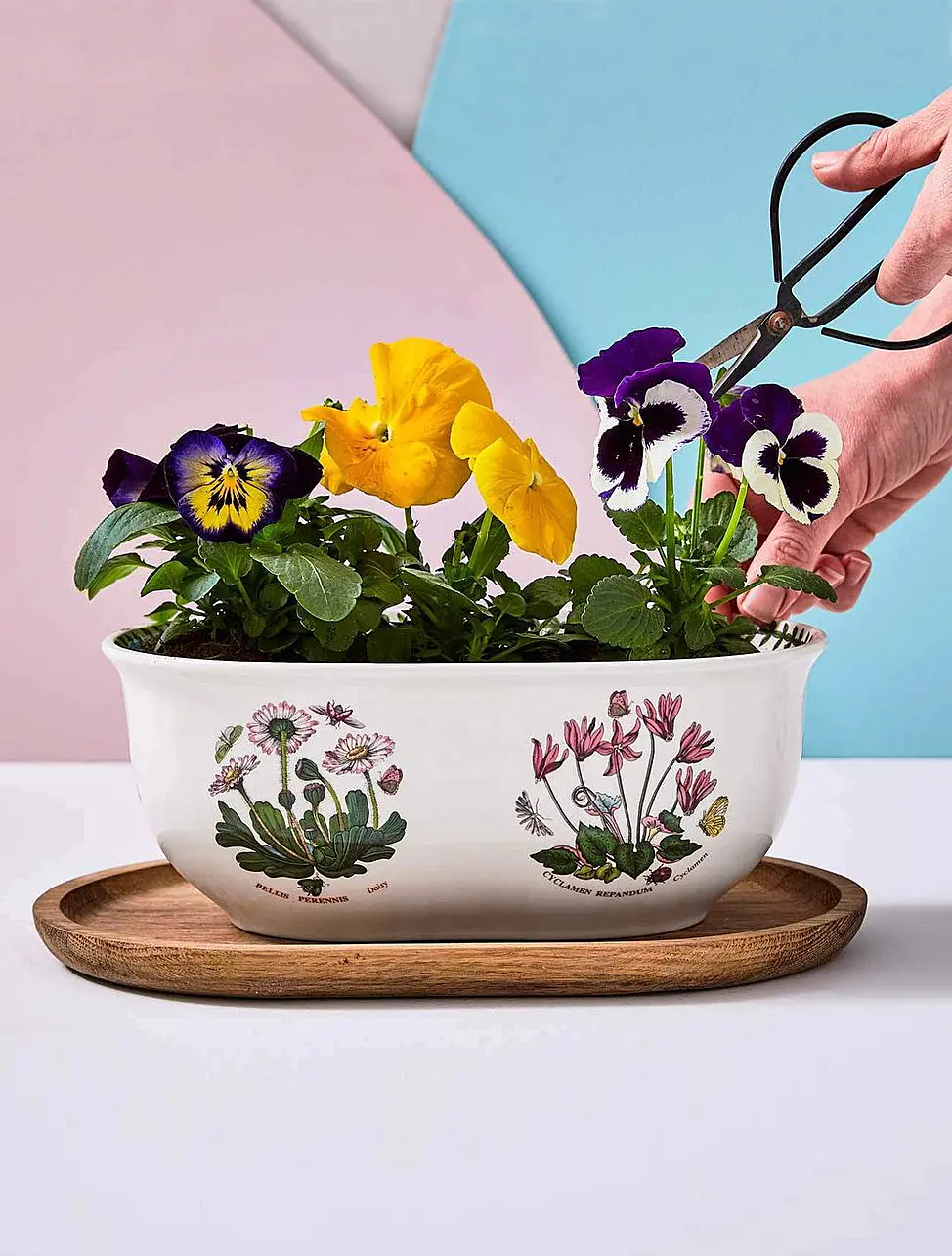 Горшок для цветов Botanic Garden, 10x26 см