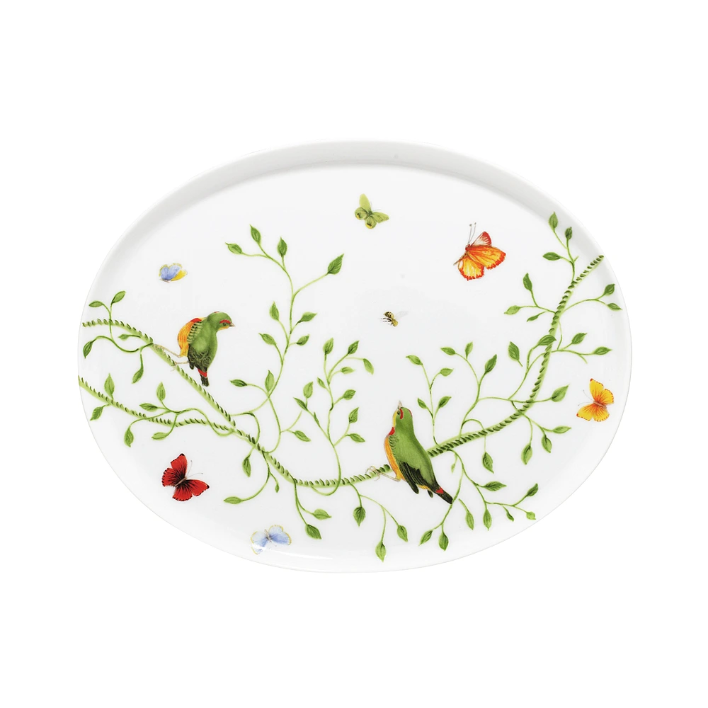 Плоское блюдо Histoire Naturelle, 21 см от Raynaud