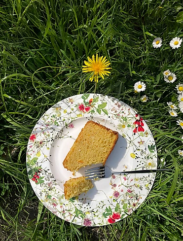 Закусочная тарелка Brillance Fleurs Sauvages, 23 см