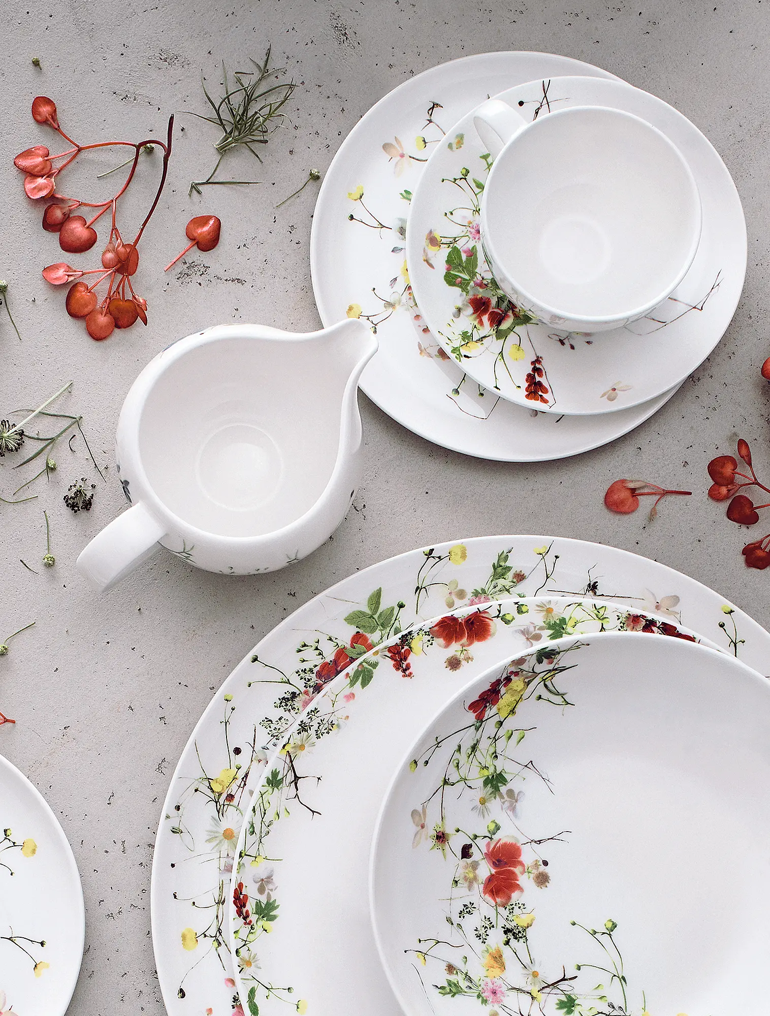 Молочник Brillance Fleurs Sauvages, 320 мл