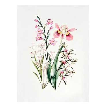 Полотенце Botanico, 50x70 см