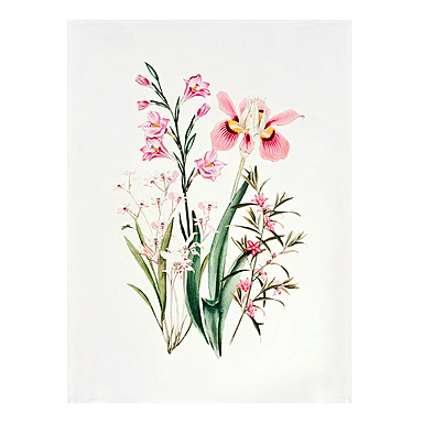 Разноцветный