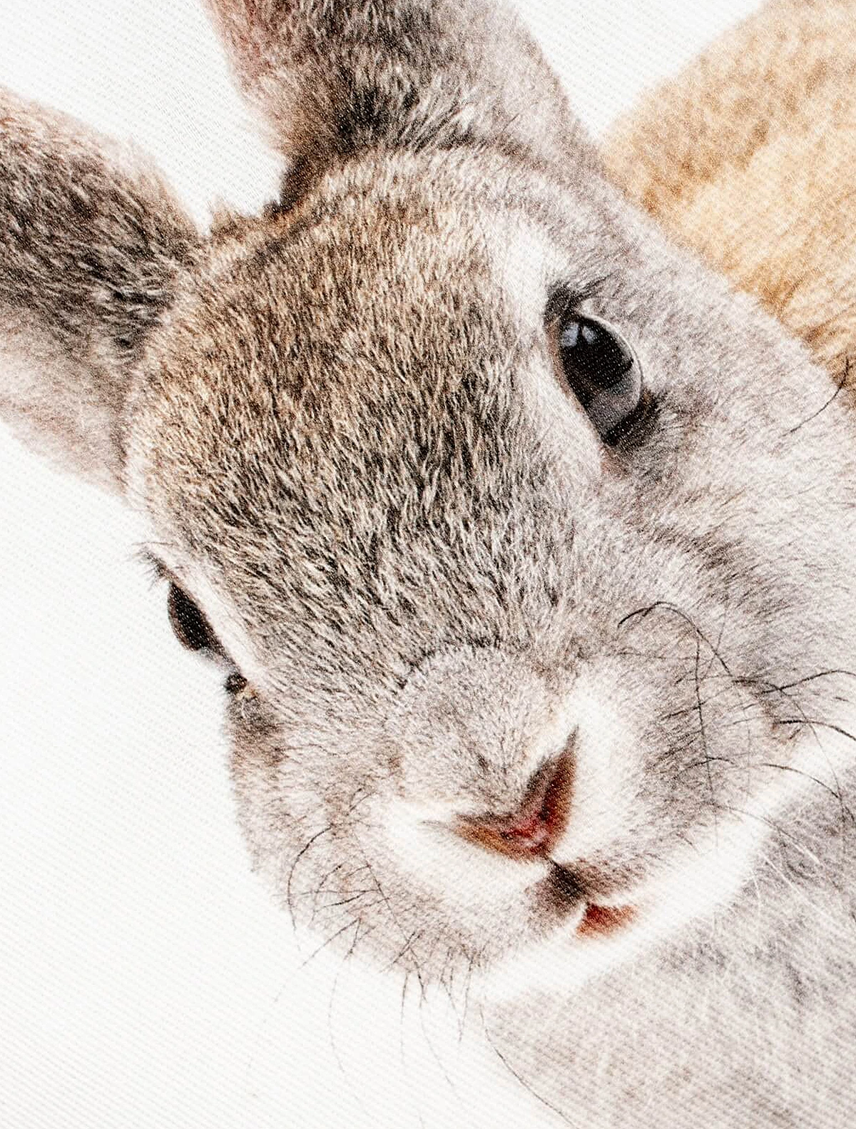 Декоративная наволочка One Rabbit, 45х45 см
