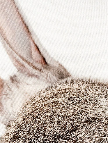 Декоративная наволочка One Rabbit, 45х45 см
