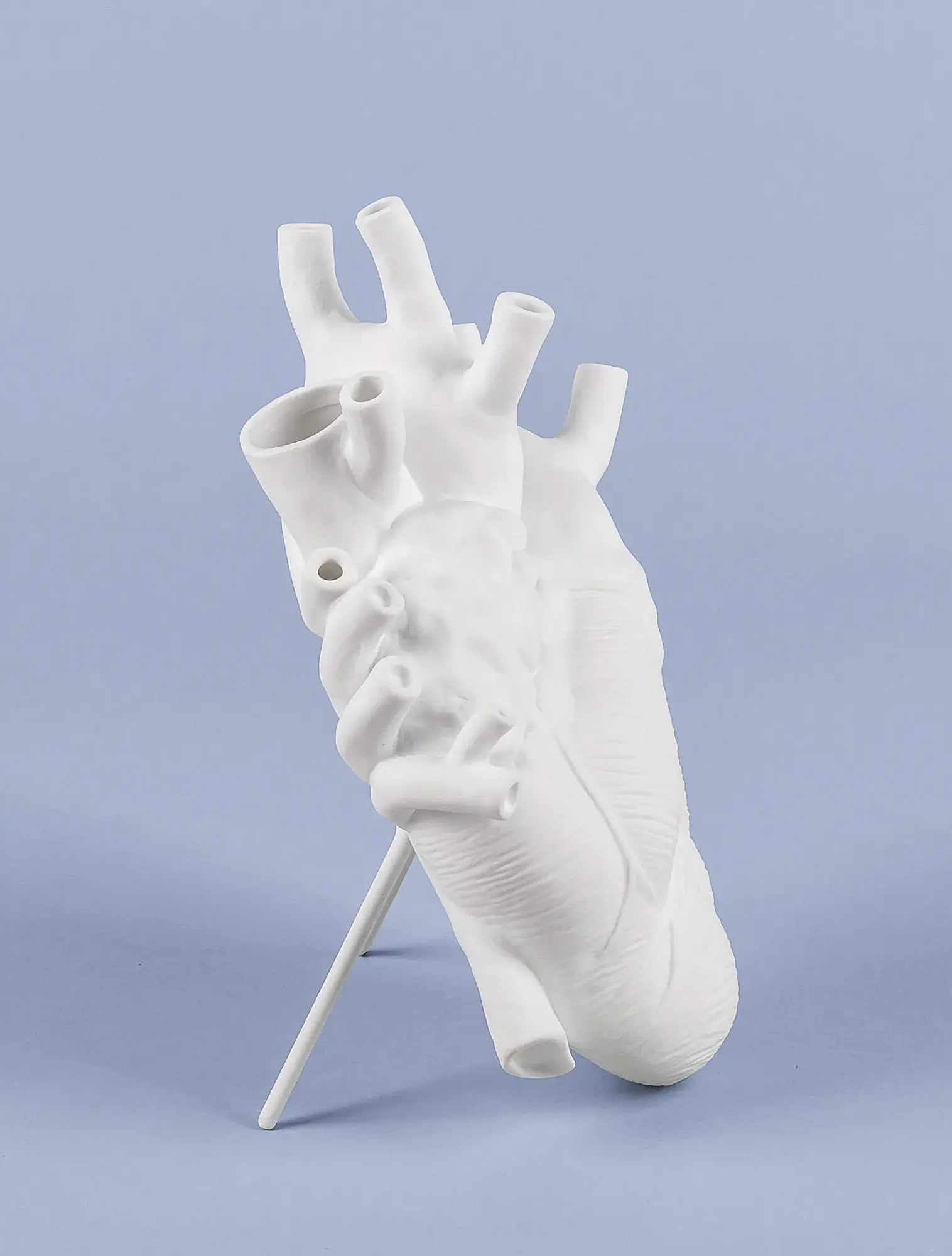 Ваза Love In Bloom, 25 см