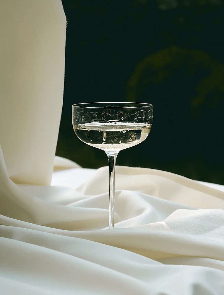 Бокал для шампанского и мартини Midnight Flowers, 240 мл от Serax