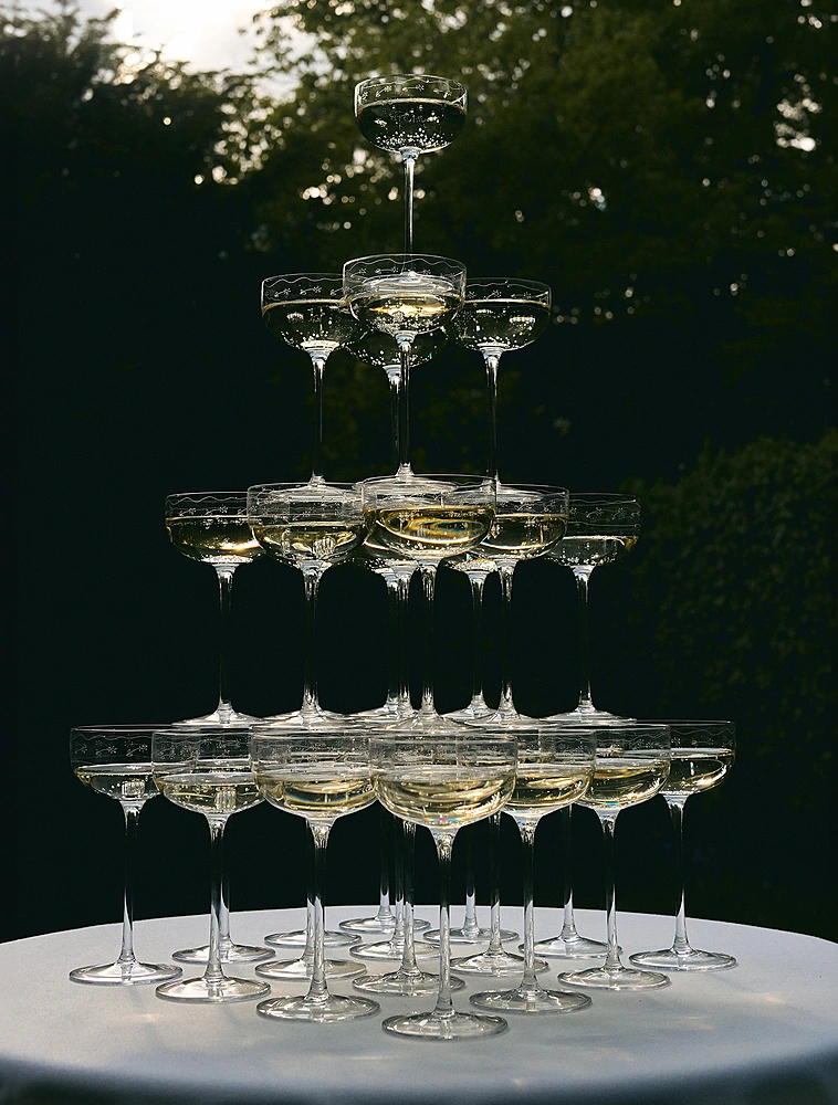 Бокал для шампанского и мартини Midnight Flowers, 240 мл от Serax