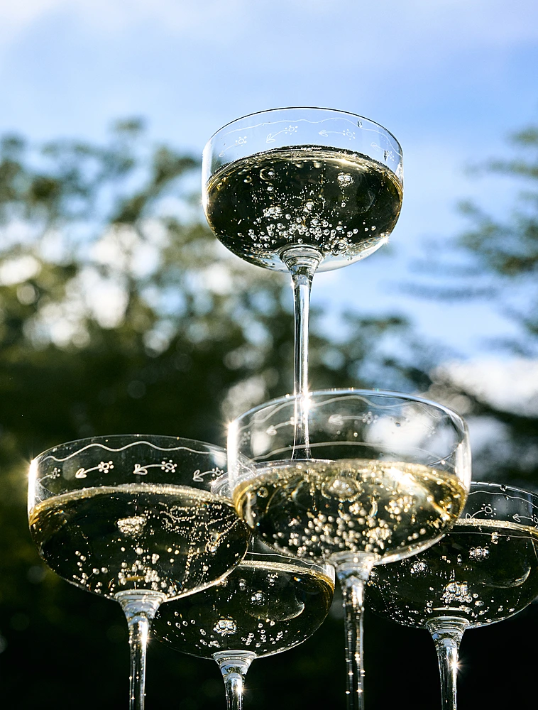 Бокал для шампанского и мартини Midnight Flowers, 240 мл от Serax