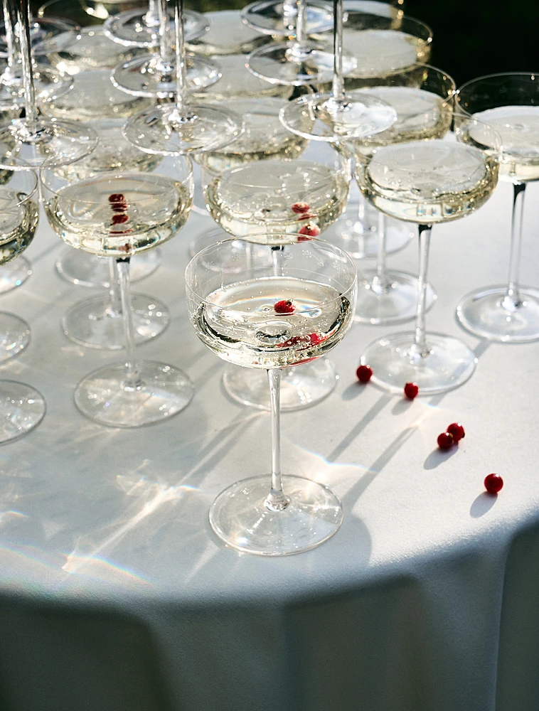 Бокал для шампанского и мартини Midnight Flowers, 240 мл от Serax