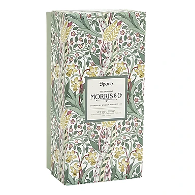 Набор из 2 кружек Morris & Co, 340 мл