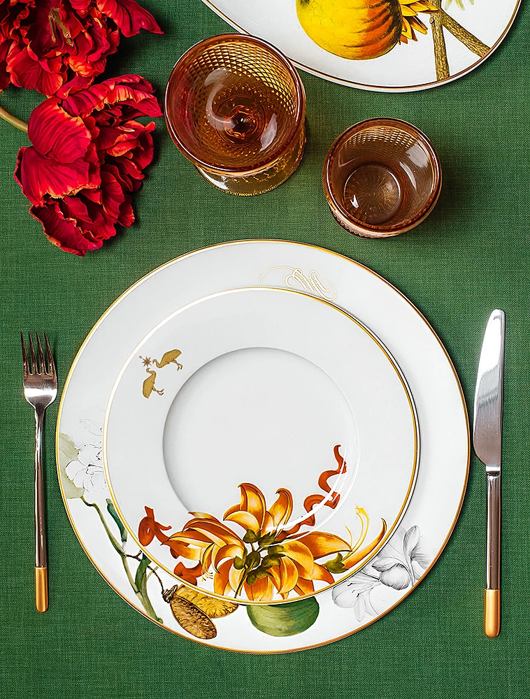 Закусочная тарелка Amazonia, 23 см от Vista Alegre