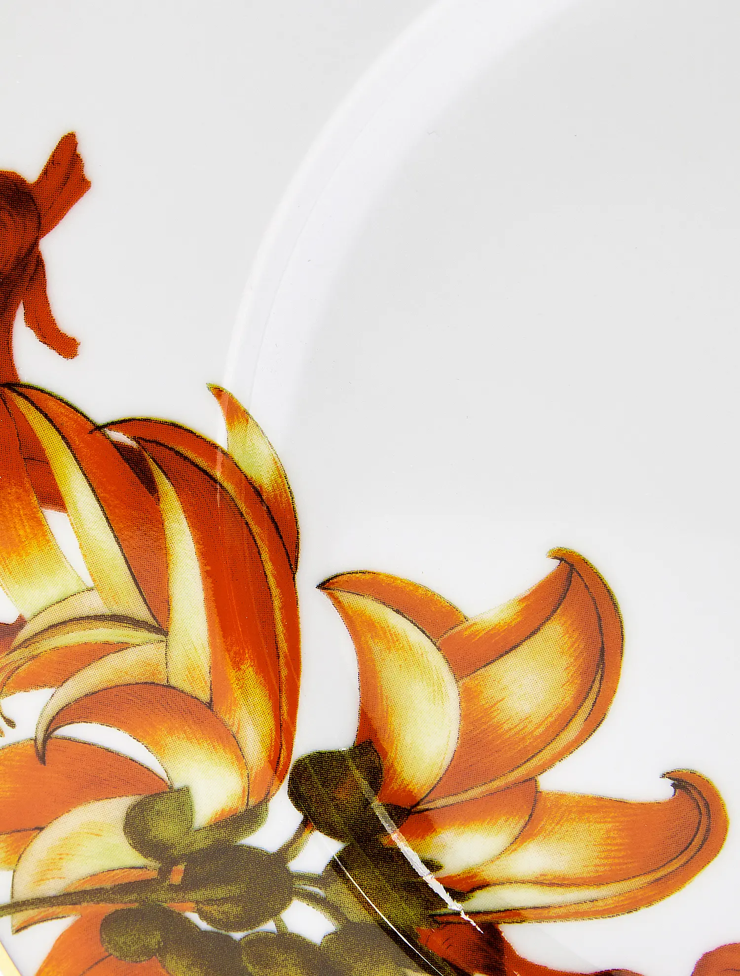 Закусочная тарелка Amazonia, 23 см