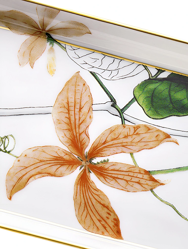 Плоское блюдо Amazonia, 32,5 см от Vista Alegre