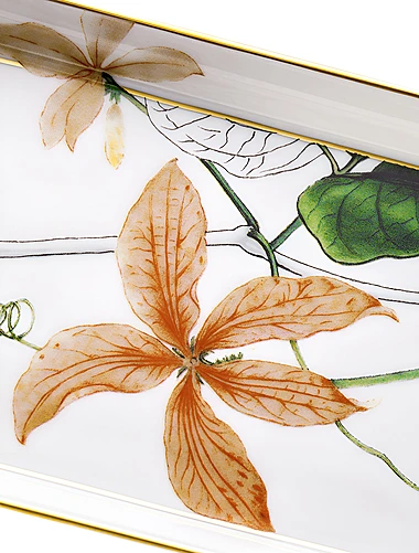 Плоское блюдо Amazonia, 32,5 см