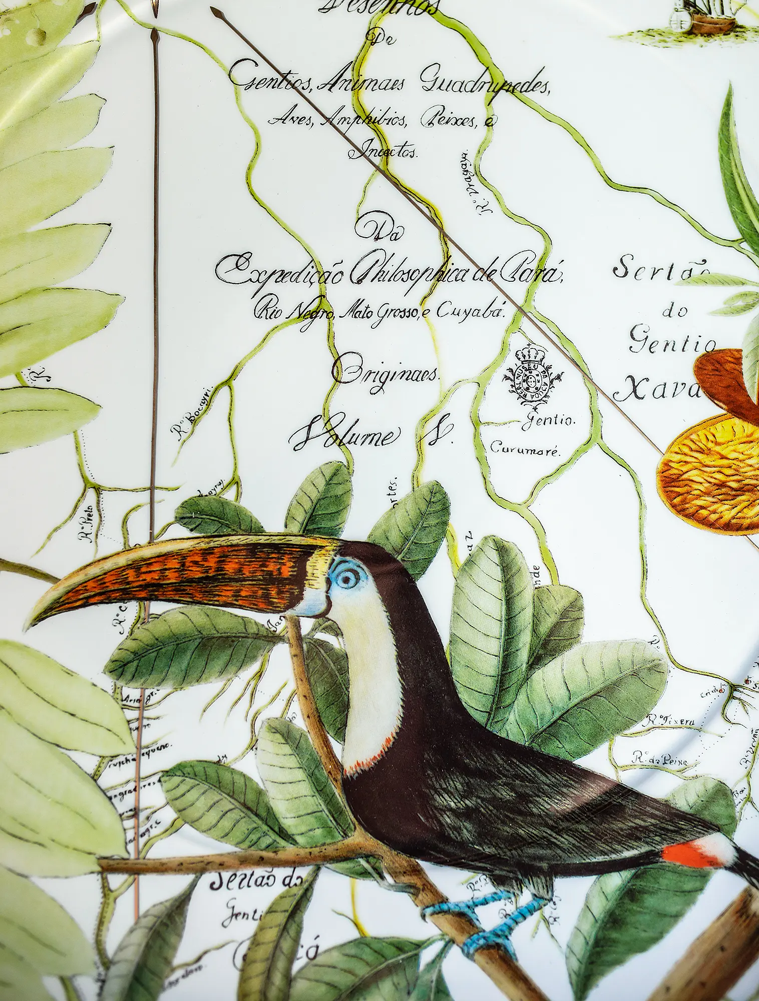 Плоское блюдо Amazonia, 40 см