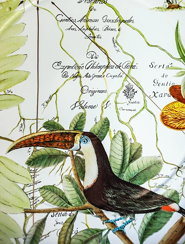 Плоское блюдо Amazonia, 40 см