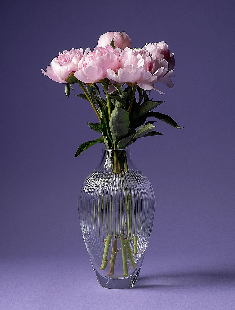 Ваза Crystal Garden, 24,5 см от Vista Alegre